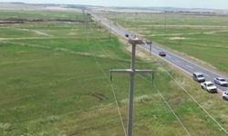 Göçmen kuşlar, Dicle Elektrik ile güvende
