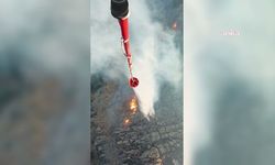 İzmir Çiğli'de otluk alanda çıkan yangın kontrol altına alındı