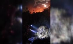 İzmir'in Dikili ilçesinde yangın