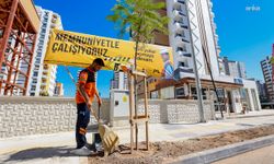 Mersin Büyükşehir Belediyesi, Mezitli Gazi Paşa Caddesi'nde 420 ağacı toprakla buluşturdu