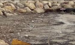Mersin Çevre Derneği'nden Kılıçcı, sahil kıyısından çektiği mikroplastik atık görüntülerini paylaştı
