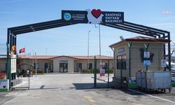 Tekirdağ Büyükşehir'den sokakta yaşayan can dostlara kapsamlı destek