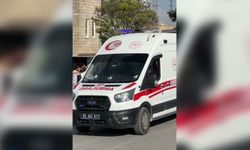 Van-Hakkari kara yolundaki trafik kazasında 2 kuzen yaşamını yitirdi