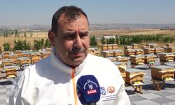 Ankara Büyükşehir Belediyesi'nden arıcılığa bilimsel destek: Ata Çiftliği'nde 2026 yılının ilk bal hasadı yapıldı