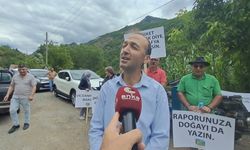 Artvin'de 10 köyü etkileyecek maden projesine tepki: 'Bu proje havamızı, suyumuzu ve toprağımızı kirletecek'