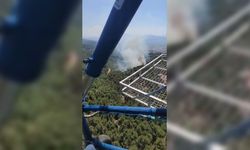 Aydın Çine'de çıkan orman yangını kontrol altına alındı