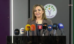Ayşegül Doğan: 'Henüz ortada yazılı bir taslak ve netleşmiş bir takvim yok'