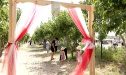 Başkentliler, Ata Çiftliği'nde hasat yaptı