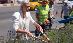 Bilecik Belediye Başkanı Subaşı, Park ve Bahçeler Müdürlüğü ekipleriyle hasat yaptı