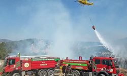 Bilecik'te makilik alandaki yangın kontrol altına alındı