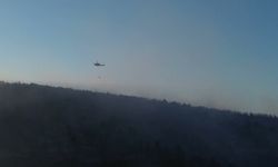 Bilecik'te orman yangını kontrol altına alındı