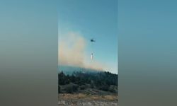 Bilecik'teki orman yangınıyla ilgili biçerdöver operatörüne soruşturma