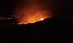 Bitez ve Ortakent'teki makilik alandaki yangın kontrol altına alındı