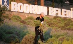 Bodrum Belediyesi Tarım Kampı'nın ikinci dönemi tamamlandı