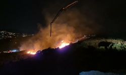 Bodrum'da makilik alanda yangın