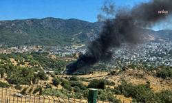 Bodrum'da yapı marketin depo alanında yangın
