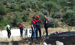 Bornova'daki orman yangını: İzmir İtfaiyesi bukalemunu hayata döndürdü