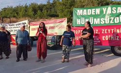 Çevre gönüllüleri, ağaç kesimlerinin üçüncü yılında Akbelen Ormanı'nda buluştu