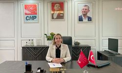 CHP Diyarbakır Kadın Kolları Başkanı Koçyiğit, partisinden istifa etti