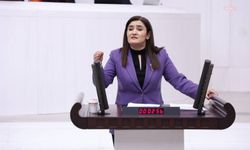 CHP İzmir Milletvekili Kılıç'tan PTT'de İdari Hizmet Sözleşmesi ile çalışan personele ilişkin açıklama