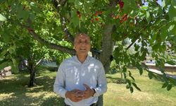 CHP'li Aşkın Genç: 'Çiftçi daha ucuza satıyor, vatandaş daha pahalıya alıyor, tarımda fiyat zinciri alarm veriyor'