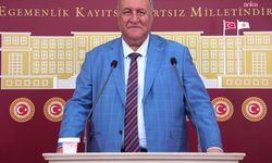 CHP'li Gürer: 'İşsizlik Sigortası Fonu işsizden çok işverene çalışıyor'