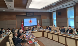 Çocuk Hizmetleri Genel Müdürü Alagöz: 2026 yılı içinde 11 bin 34 çocuk koruyucu aile yanında, 21 bin 197 çocuk evlat edindirildi