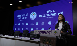 DEM Parti: 'Çerçeve yasa, dar kapsamlı ve sınırlı düzenlemelerden ibaret olmamalıdır'