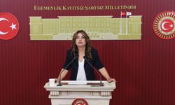 DEM Parti Grup Başkanvekili Koçyiğit 'Süreçle ilgili çerçeve yasa taslağının bu hafta İmralı Heyeti'ne sunulmasını bekliyoruz'