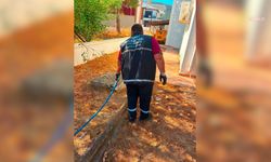 Didim genelinde ilaçlama çalışmaları sürüyor