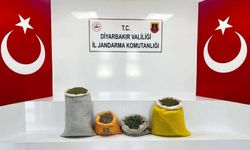 Diyarbakır'da uyuşturucu operasyonlarında 144 kilogram esrar ele geçirildi