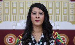 EMEP'li Karaca: 'Akademisyenlerimize sahip çıkacağız'