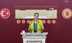 EMEP'li Karaca, Akdeniz kıyılarında artan mikroplastik kirliliği TBMM gündemine taşıdı