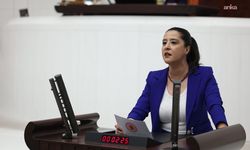 EMEP'li Karaca, Bakan Işıkhan'a Nepal'den Türkiye'ye getirilen işçilerin çalışma koşullarını sordu