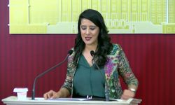 EMEP'li Karaca'dan torba yasa tepkisi: İktidarın tercihi emekten değil, sermayeden yana