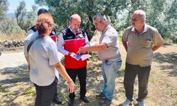Erdek'te fırtına ve dolu sonrası hasar tespiti sürüyor
