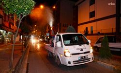 Giresun genelinde ilaçlama çalışmaları sürüyor