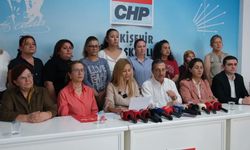 Görevden alınan CHP'li Yeşildal: 'Hiçbir antidemokratik uygulamaya boyun eğmeyeceğiz'