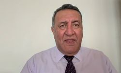 Gürer: 'Soframıza gelen sebze ve meyvenin yetiştiği illerde pestisit kullanım oranları dünya ortalamasının birkaç katına ulaşmış durumda'