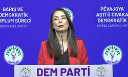 Hatimoğulları: 'Silahlar geri dönüşsüz bir biçimde yakıldı fakat bir yıl yeterince değerlendirilmedi'