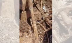 Hekimhan'da TOKİ temel kazısında insana ait olduğu değerlendirilen kemik ve kafatası parçaları bulundu