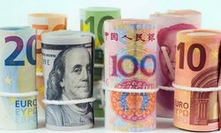 Dolar Gerilerken TL'de Rekor Serisi Durmuyor