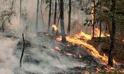 Fransa’da yangın alarmı: 197 bin kişi tahliye edildi