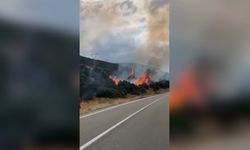 Isparta'da orman yangını: Ekiplerin müdahalesi sürüyor
