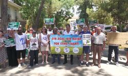 İzmir Dr. Suat Seren Göğüs Hastalıkları Hastanesi'nde ağaç kıyımı iddiası: 'Doğa katliamının eşiğindeyiz'