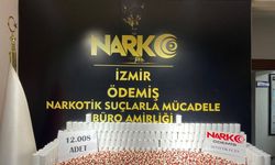 İzmir Ödemiş'te uyuşturucu operasyonu: 30 tutuklama
