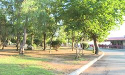 İzmir'de İnciraltı Kent Ormanı yenileniyor