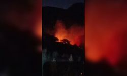 Karacasu'daki yangında 20 dönüm orman alanı küle döndü