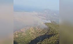 Kaş'ta orman yangını