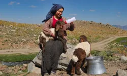 Hakkari’de annelerinin reddettiği kuzulara o sahip çıktı